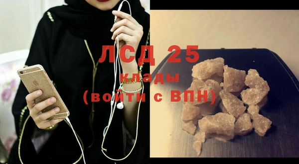 крисы Абаза