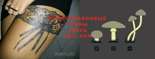 крисы Абаза