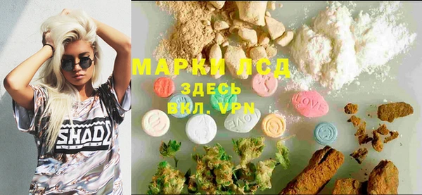 крисы Абаза