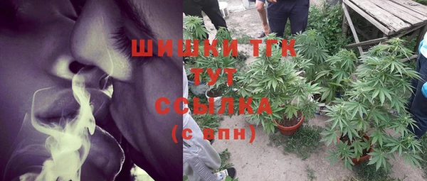 крисы Абаза