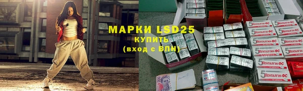 крисы Абаза