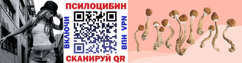 Псилоцибиновые грибы прущие грибы  даркнет сайт  Касли 